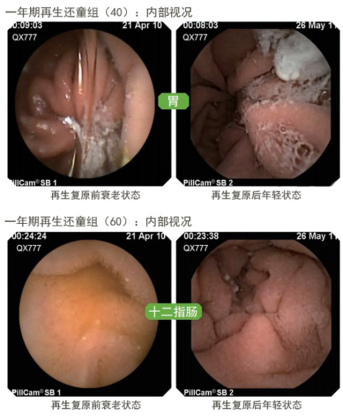 尊龙凯时人生就是博·Z6(中国)官方网站
