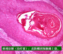 尊龙凯时人生就是博·Z6(中国)官方网站