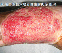 尊龙凯时人生就是博·Z6(中国)官方网站