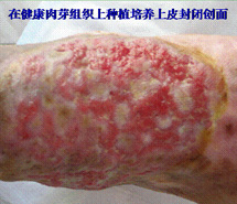 尊龙凯时人生就是博·Z6(中国)官方网站