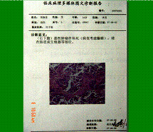 尊龙凯时人生就是博·Z6(中国)官方网站