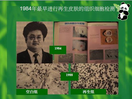 尊龙凯时人生就是博·Z6(中国)官方网站