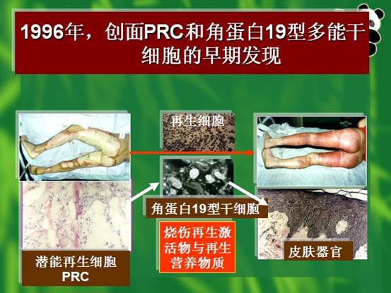 尊龙凯时人生就是博·Z6(中国)官方网站