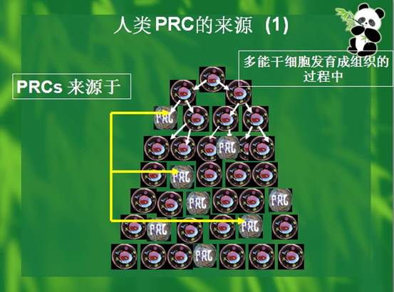 尊龙凯时人生就是博·Z6(中国)官方网站