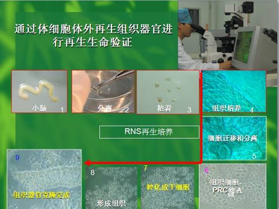 尊龙凯时人生就是博·Z6(中国)官方网站