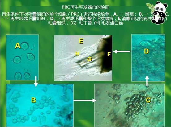 尊龙凯时人生就是博·Z6(中国)官方网站