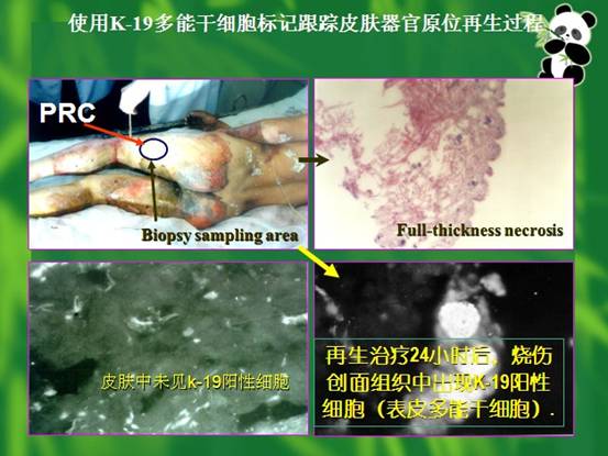 尊龙凯时人生就是博·Z6(中国)官方网站