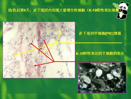 尊龙凯时人生就是博·Z6(中国)官方网站