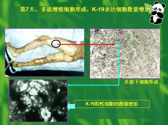 尊龙凯时人生就是博·Z6(中国)官方网站