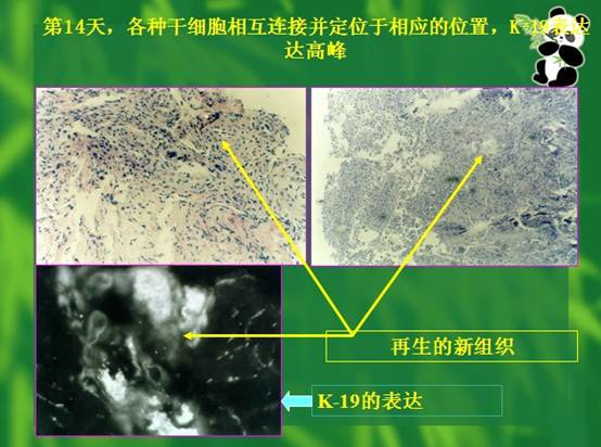 尊龙凯时人生就是博·Z6(中国)官方网站