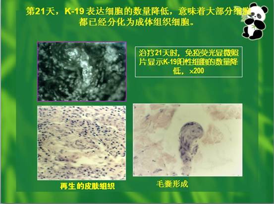 尊龙凯时人生就是博·Z6(中国)官方网站