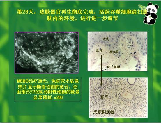 尊龙凯时人生就是博·Z6(中国)官方网站