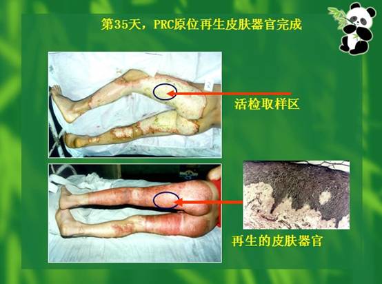 尊龙凯时人生就是博·Z6(中国)官方网站