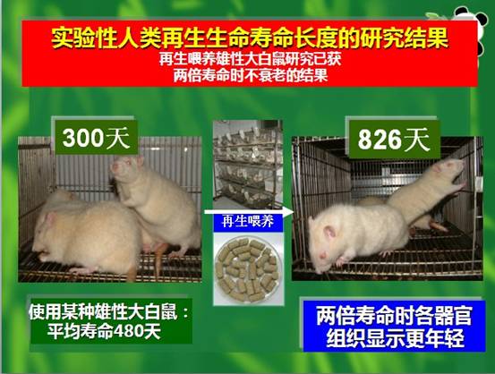 尊龙凯时人生就是博·Z6(中国)官方网站