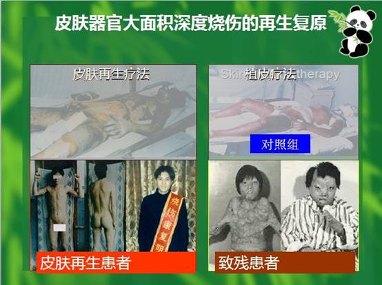 尊龙凯时人生就是博·Z6(中国)官方网站