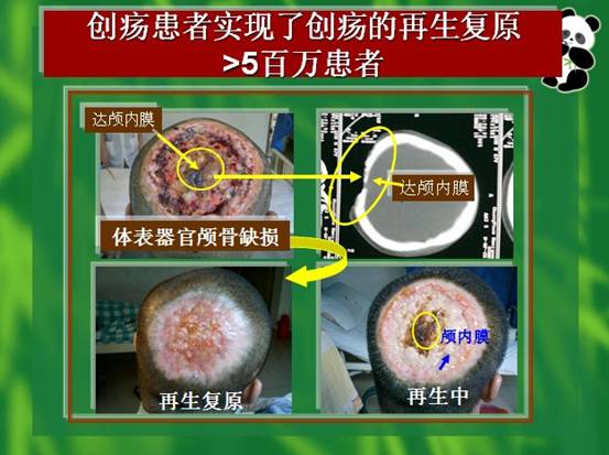 尊龙凯时人生就是博·Z6(中国)官方网站