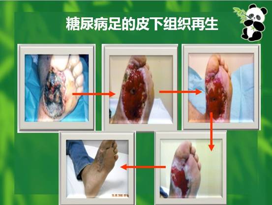 尊龙凯时人生就是博·Z6(中国)官方网站