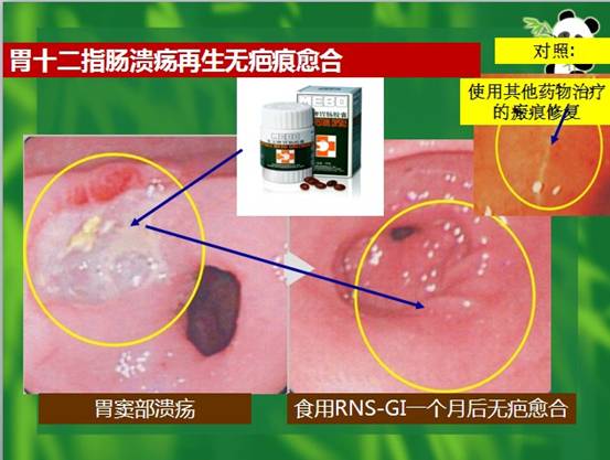 尊龙凯时人生就是博·Z6(中国)官方网站