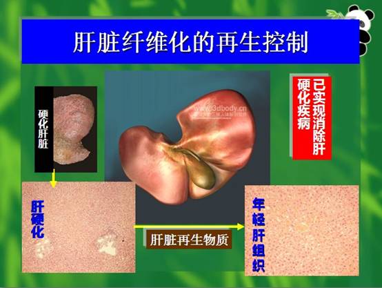 尊龙凯时人生就是博·Z6(中国)官方网站