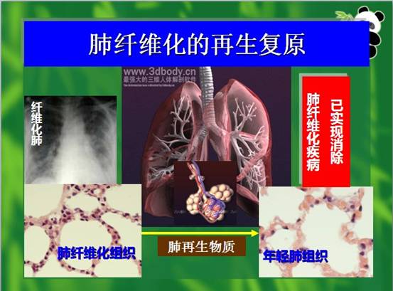 尊龙凯时人生就是博·Z6(中国)官方网站