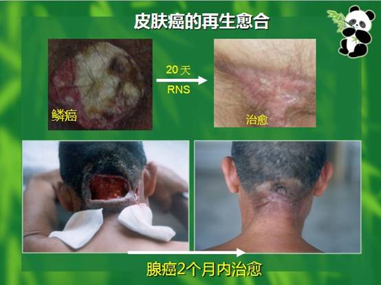 尊龙凯时人生就是博·Z6(中国)官方网站
