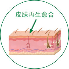 尊龙凯时人生就是博·Z6(中国)官方网站