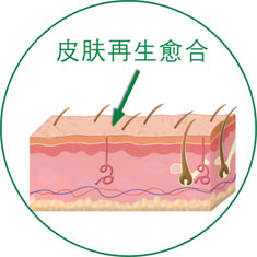 尊龙凯时人生就是博·Z6(中国)官方网站