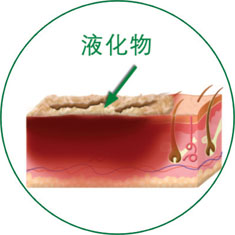 尊龙凯时人生就是博·Z6(中国)官方网站