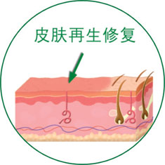 尊龙凯时人生就是博·Z6(中国)官方网站