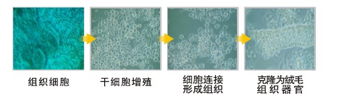尊龙凯时人生就是博·Z6(中国)官方网站