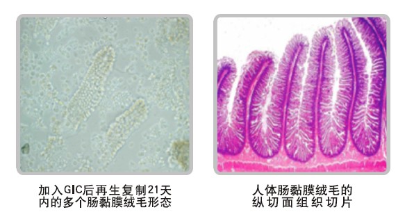 尊龙凯时人生就是博·Z6(中国)官方网站