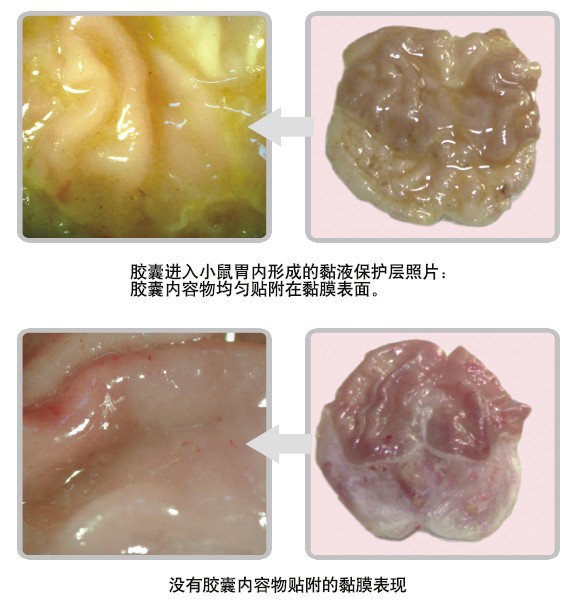 尊龙凯时人生就是博·Z6(中国)官方网站