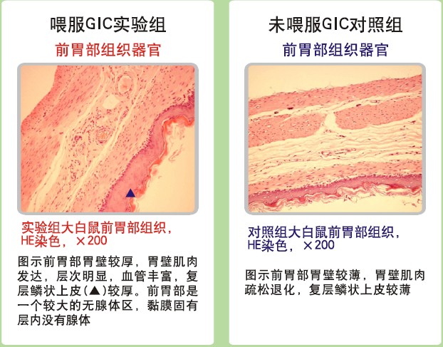 尊龙凯时人生就是博·Z6(中国)官方网站