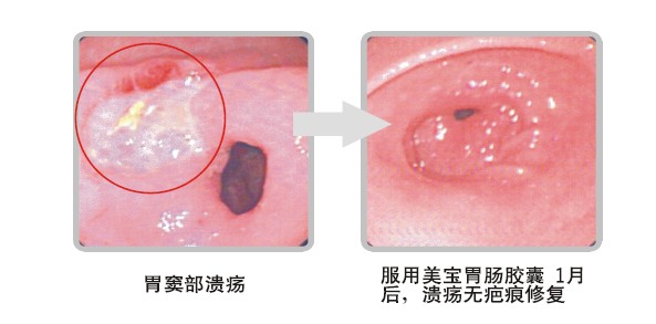 尊龙凯时人生就是博·Z6(中国)官方网站
